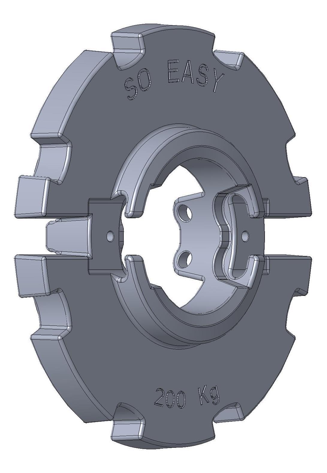 EASYMASS Radgewicht 200kg Grau