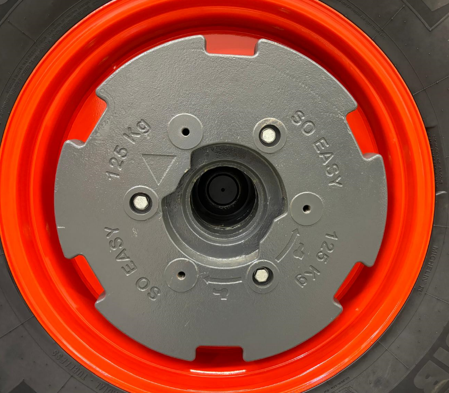 EASYMASS Mini Radgewicht 125kg Grau