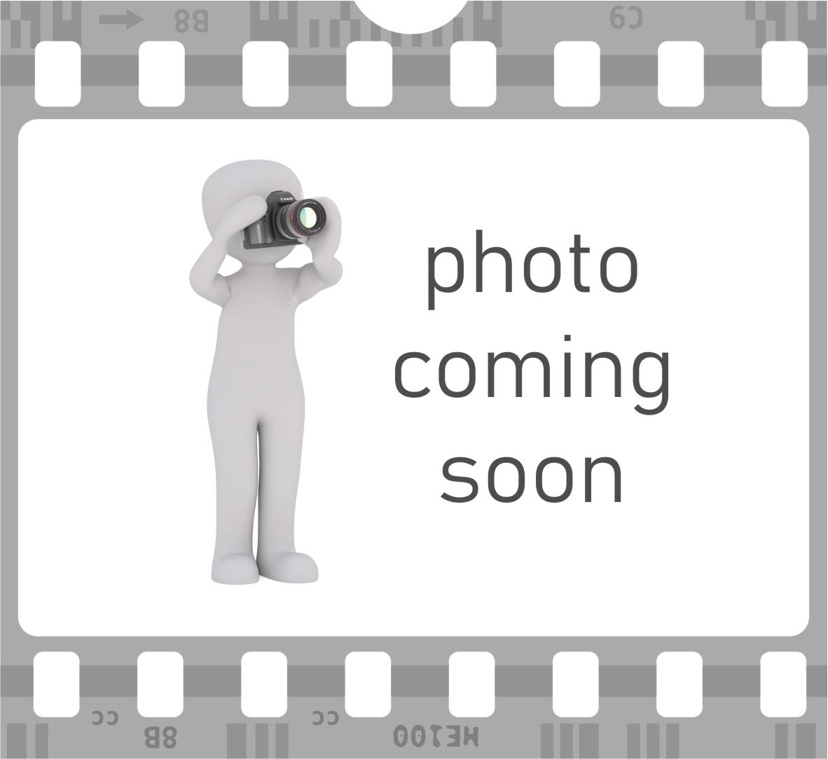 Entsorgungsgreifschaufel 2200 Tel.-/Radlader (200x25)